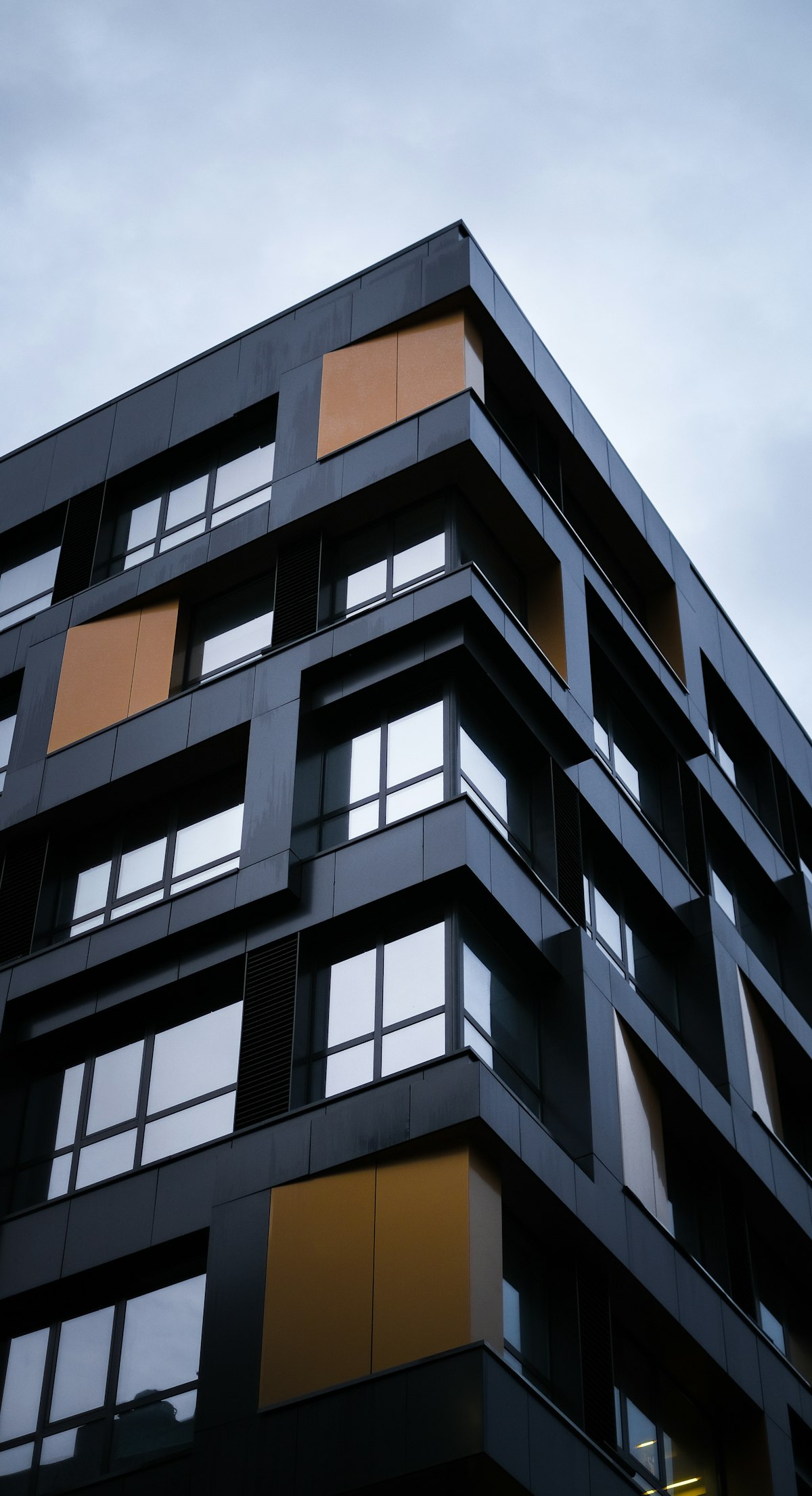 Building revitalization